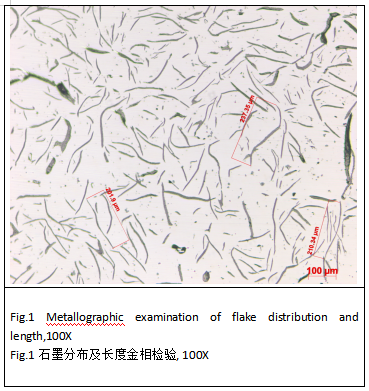 铸铁金相检验-石墨形态和长度