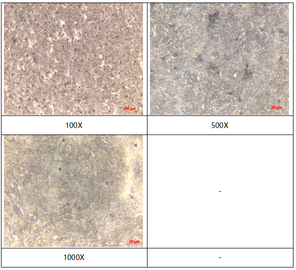铁片金相组织分析