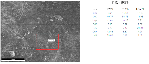 管件断口分析-金相检验