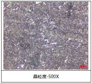 卷耳样件弹簧钢金相分析-晶粒度